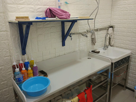 <a href='http://www.hljts.com/aboutus.html'>潔希亞國際洗衣</a>大竹林店4